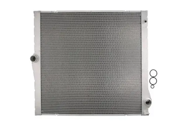 Радіатор THERMOTEC D7B040TT (фото 1)