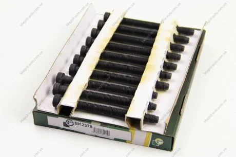 Комплект болтів двигуна з фігурною головкою BGA BK2378