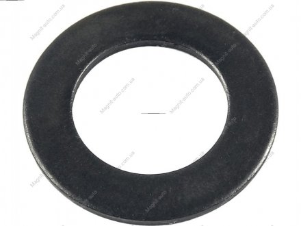 Шайба з чорного металу AS SRS0042 (фото 1)
