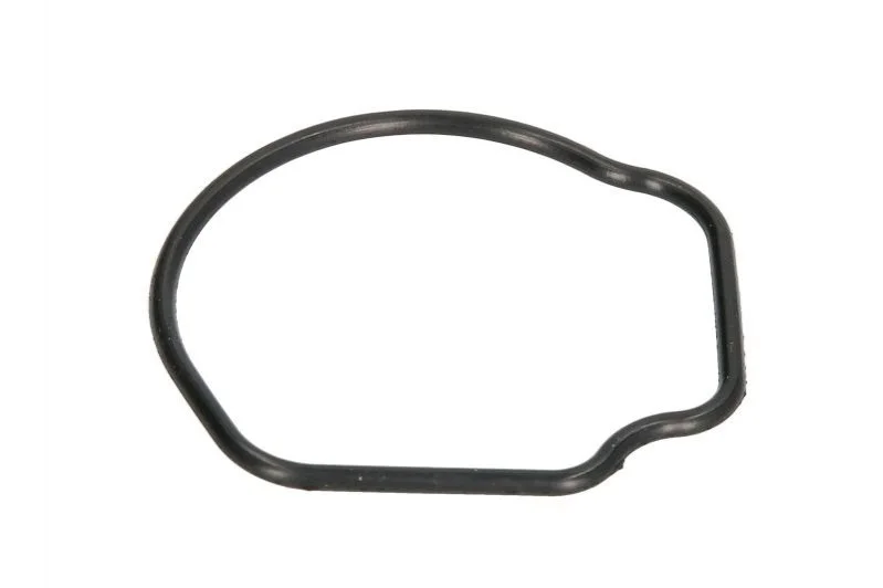 Прокладка термостата Fiat 500 (07-)/ Opel Combo (05-), Corsa C 1.3d Ajusa AJUSA 01096800 (фото 1)