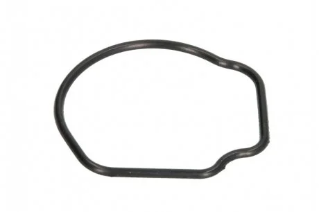 Прокладання термостату Fiat 500 (07-)/ Opel Combo (05-), Corsa C 1.3d Ajusa AJUSA 01096800