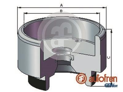 T│oczek.. SEINSA AUTOFREN D025721