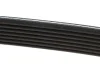 Ремень поликлиновый DAYCO 7PK1569 (фото 3)