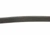 Ремень П-клиновый Dayco DAYCO 6PK2220K (фото 2)