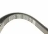 Ремень П-клиновый Dayco DAYCO 6PK2220K (фото 4)