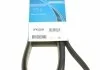 Ремень П-клиновый Dayco DAYCO 6PK2220K (фото 6)