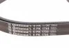 Комплект паса поликлинового Citroen Berlingo/Peug Contitech 6PK1750K1 (фото 7)