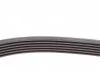 Комплект паса поликлинового Citroen Berlingo/Peug Contitech 6PK1750K1 (фото 8)