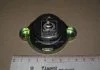 Кришка радіатора Audi A494-Nissan Almera 11-/X-trail 01-13/Wv Caddy 92-04 Dk-Дорожная Карта DK-252750108243 (фото 3)
