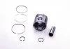 Поршень, 80.01mm (STD) 1.9dC 01- RENAULT 7701472834 (фото 2)