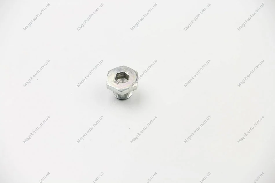 Пробка масляного поддона Boxer/Expert/Movano 94>02 22x1.5mm Metalcaucho 02452 (фото 1)
