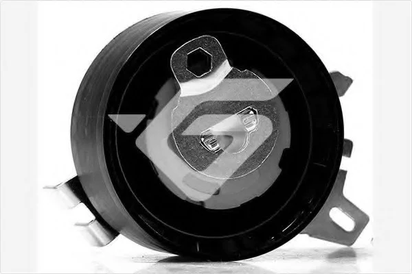 Натяжний ролик Citroen C4, C5/Peugeot 407, 807 1.8/ 2.0 (04-) Hutchinson HUTCHINSON HTG411 (фото 1)
