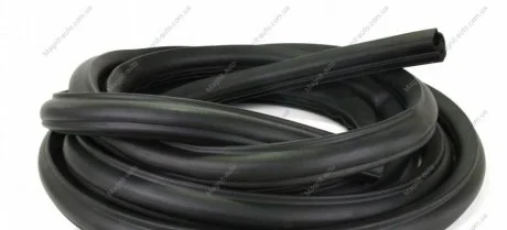Ущільнювач двері (задньої) MB Sprinter (901-904) (висока кришка) AUTOTECHTEILE 100 6920