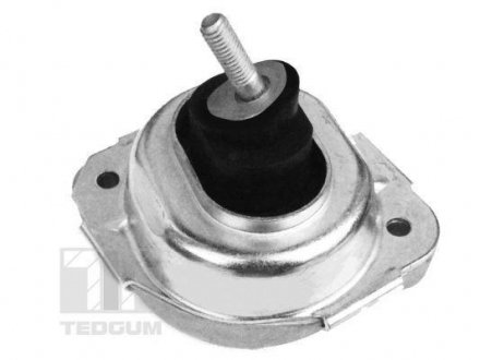 Дата: TEDGUM 00088531