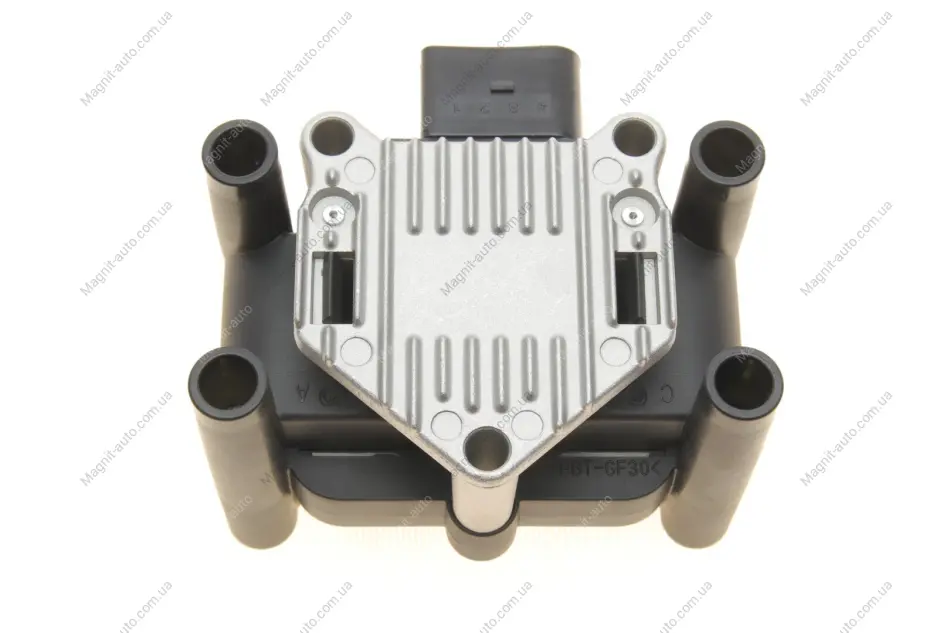 Котушка запалювання (з модулем) AUDI A1, A2, A3, A4 B5, A4 B6, A4 B7 SEAT ALHAMBRA, ALTEA, ALTEA XL, AROSA, CORDOBA, EXEO, EXEO ST, IBIZA III, IBIZA IV, IBIZA IV SC, IBIZA IV ST 1.0-2.0LPG 11.94- Delphi GN10018-12B1 (фото 1)