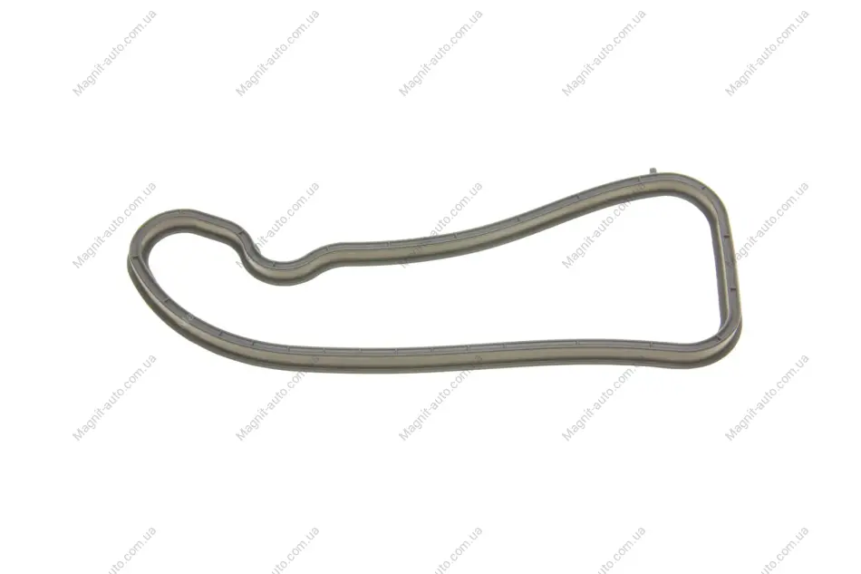 Прокладка впускного колектора BMW 1 (E82), 1 (E88), 1 (F20), 1 (F21), 2 (F22, F87), 2 (F23), 3 (E90), 3 (E91), 3 (E92), 3 (E93), 3 (F30, F80), 3 (F31), 3 GRAN TURISMO (F34) 3.0/3.0H 03.06-06.21 ELRING 593.270 (фото 1)