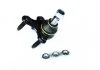 Шаровая опора Audi A3/Seat Leon/Skoda Octavia III/VW Golf VII, Passat (06-) Asam ASAM 80966 (фото 1)