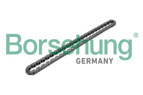 Ланцюг приводу (OE) Borsehung B17905