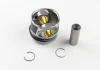 Поршень T5 1.9TDI (79.51mm STD)(3-4 цил.) MAHLE / KNECHT 0308700 (фото 1)