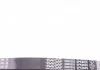 Ремень генератора поликлиновый DAYCO 6PK902S (фото 2)