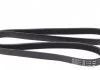 Ремень генератора VW T5/T6 2.0 TSI 11-19 HUTCHINSON 1580 K 6 (фото 3)