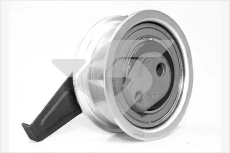 Ролик ремня ГРМ VW Caddy IV/T6 2.0 TDI (15-) Hutchinson HUTCHINSON HTG460
