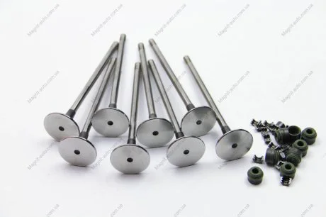 Комплект клапанів впускних g9u RENAULT 7701472669
