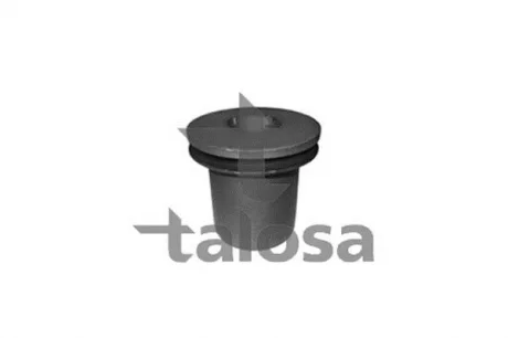 С/блок задній важеля перед. Nissan Interstar Opel Movano Renault Master II 1.9D-3.0D 07.98- TALOSA 57-00450