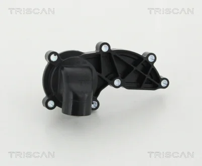 Термостат TRISCAN 862046985