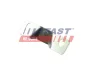 Нижній фіксатор роздвиж. дверей Fiat Ducato 94- 02- FAST FT95209 (фото 2)