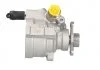 Насос ГУ, 01- 1.9/2.2/2.5/3.0dCi (c флянцем) /Master/Kangoo MSG OP 031 (фото 1)