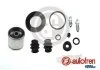 REPERATURKA ZACISKU HAMULCA AUDI A4/A6 95-09 / VW PASSAT 96-05 TYL SZT SEINSA AUTOFREN D41380K (фото 1)