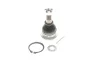 Шаровая опора NISSAN Maxima(A33)/Almera Tino "00-06 SKF VKDS812006 (фото 1)