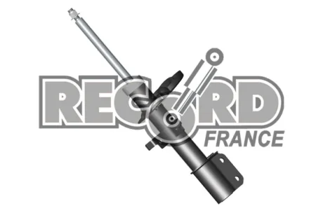 Амортизатор FRANCE RECORD 334765