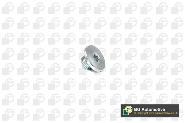 Пробка поддона автомобиля BGA PK2200 (фото 1)