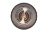 Termostat CITRO╙N C25,C4,C5,C8,EVASION,JUMPY,XSARA,XSARA MAGNETI MARELLI 352317100260 (фото 4)