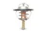 Termostat CITRO╙N C25,C4,C5,C8,EVASION,JUMPY,XSARA,XSARA MAGNETI MARELLI 352317100260 (фото 5)
