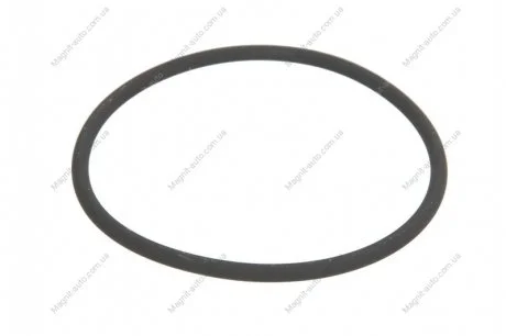 ZIMERING FIAT ELRING 290860