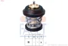 Термостат FACET 7.8743S (фото 1)