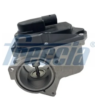 Клапан рециркуляції відпрацьованих газів VW PASSAT 2.0 TDI \'08-\'10 FRECCIA ="EGR12123"