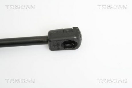 Ам-тор кришки багажника Ford Tranzit Connect TRISCAN 871016243 (фото 1)