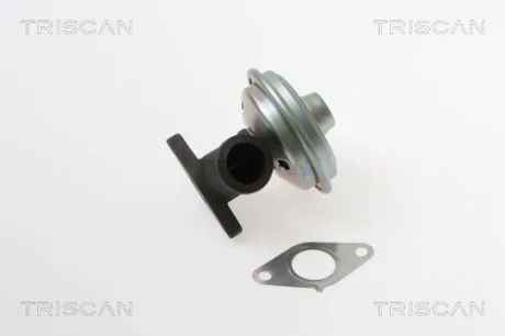 Клапан повернення відпрацьованих газів двигуна TRISCAN 8813 28017