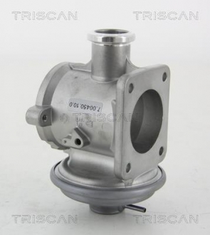 Клапан повернення відпрацьованих газів двигуна TRISCAN 8813 11105