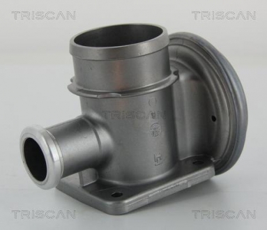 Клапан повернення відпрацьованих газів двигуна TRISCAN 8813 11004
