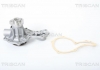 Насос системи охолодження двигуна TRISCAN 8600 29005 (фото 1)