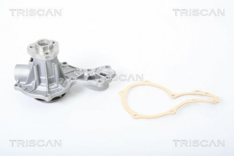 Насос системи охолодження двигуна TRISCAN 8600 29005