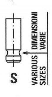 Клапан головки блоку циліндрів FRECCIA R6435/BMARCR (фото 1)