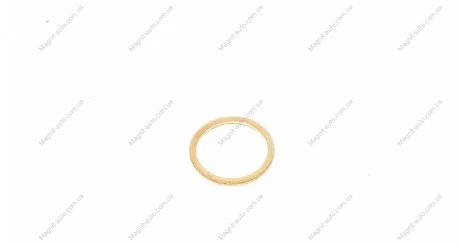 Уплотнительное кольцо VICTOR REINZ 41-70166-00
