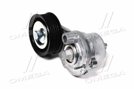 Ролик натяжителя приводного ремня GM 25192084
