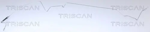 Шланг гальмівний з фітингами TRISCAN 8150 25231 (фото 1)